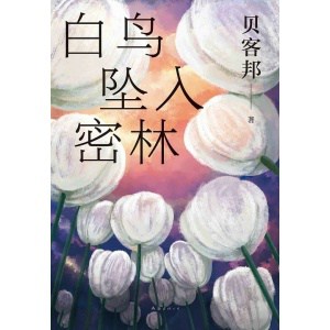 《白鸟坠入密林》中国悬疑小说 | 《消失的孩子》原著作者、悬疑黑马贝客邦新力作