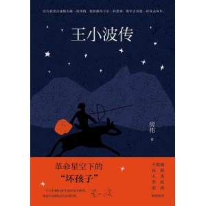 《王小波传》权威传记全新修订版 | 梁鸿序言导读 | 援引一手资料，还原真实的王小波