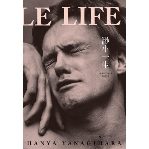 《渺小一生》(上下册)英国《卫报》21世纪百佳图书 | 爱总是所有问题的解答