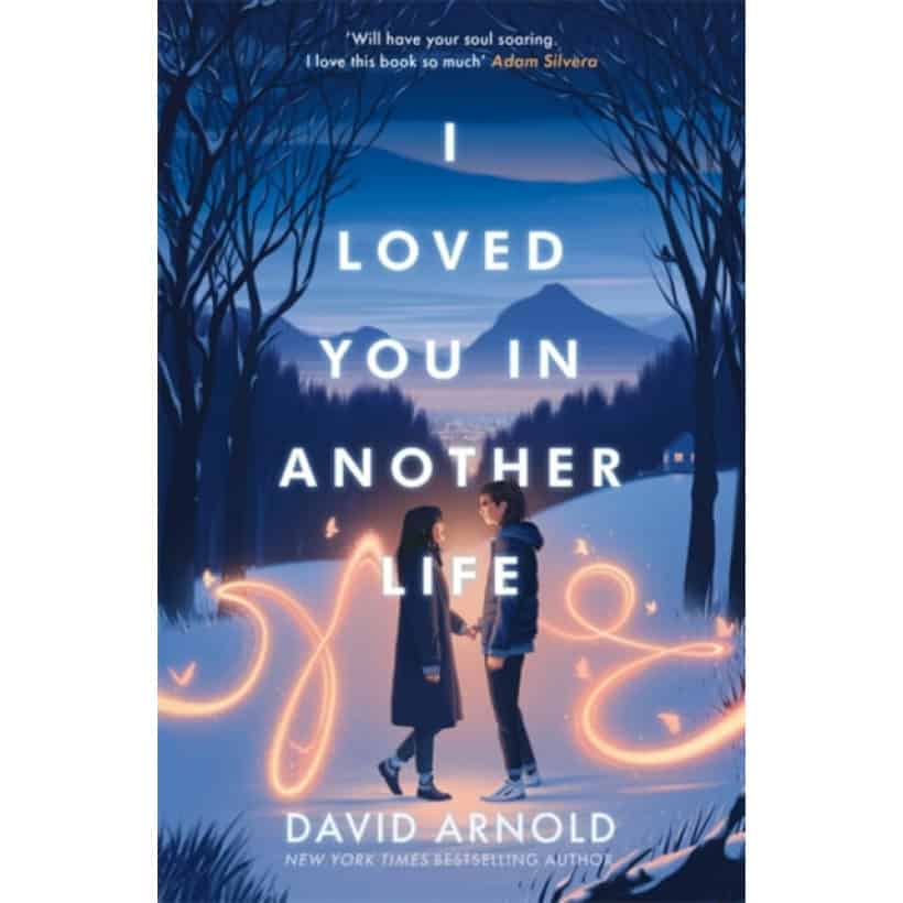 i loved you in another life | young adult fiction