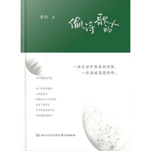 《偷诗歌的人》一本生活中偷来的诗歌，一些温暖影影绰绰