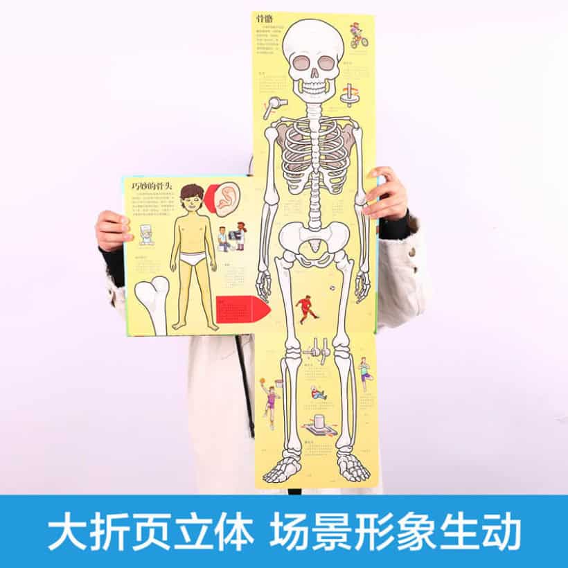 乐乐趣揭秘翻翻书《揭秘人体》让小孩翻出人体“奥秘”，学会保护自己！