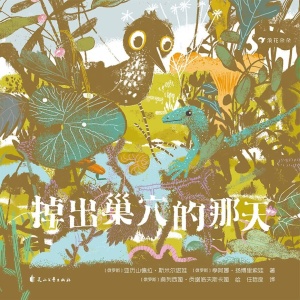 《掉出巢穴的那天》从鸟儿的视角认识森林运转的奥秘 | 3岁+自然科普绘本