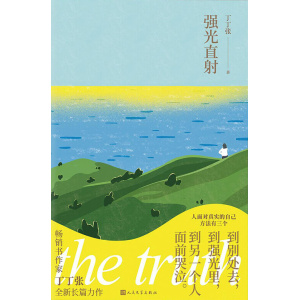 《强光直射》 丁丁张暌违三年全新长篇力作 | 一本让你重新想想自己人生的书