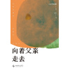 《向着父亲走去》畅销大奖书《请照顾好我妈妈》作者申京淑新作，东亚女儿给沉默父亲的深情告白！