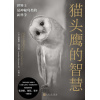 《猫头鹰的智慧》世界上最神秘鸟类的新科学 | 人文与自然相融合的发现之旅